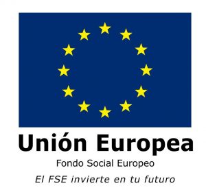 FSE-EU-logo1